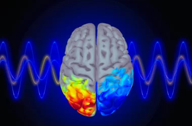 Brain Waves